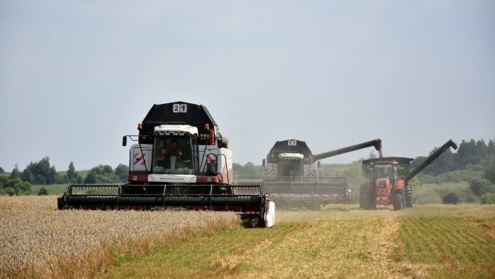 zerno-minselhoz-08.08.2025