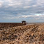 Сою, подсолнечник и кукурузу на зерно убирают шацкие аграрии