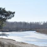 10 марта в Рязанском области потеплеет до +6°С