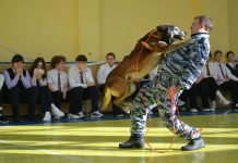 В Шацком округе прошла акция «Рязань – наш безопасный дом»