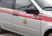 В Шацком округе росгвардейцы задержали осужденную, которую объявили в федеральный розыск