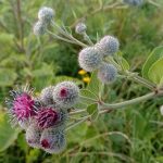 Шацкий суд постановил изъять у владельца более тысячи гектаров заброшенной земли