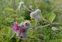 Шацкий суд постановил изъять у владельца более тысячи гектаров заброшенной земли