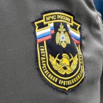 МЧС напоминает о правилах при сжигании мусора
